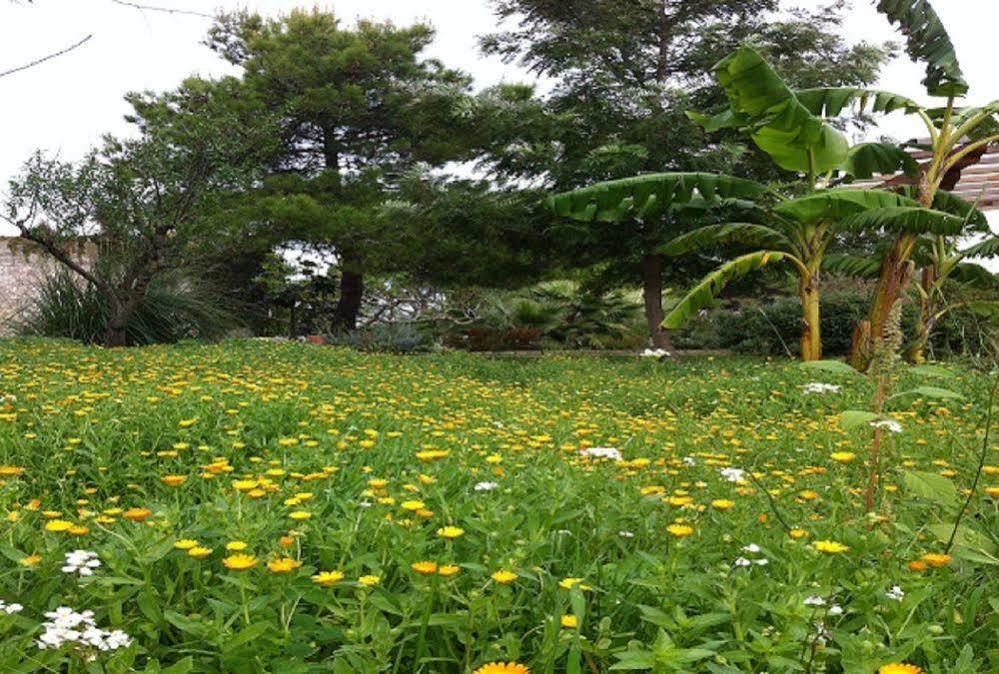 סאלבה Bio-Agriturismo Masseria La Palombara מראה חיצוני תמונה